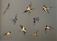 Load image into Gallery viewer, Murmuration of Swallows