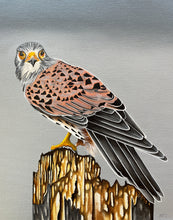 Load image into Gallery viewer, The Watchful Hunter ©Jenny McCarthy