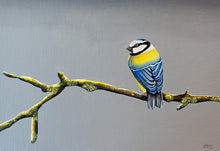 Load image into Gallery viewer, Serene Perch ©Jenny McCarthy