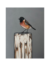 Load image into Gallery viewer, Stonechat ©Jenny McCarthy