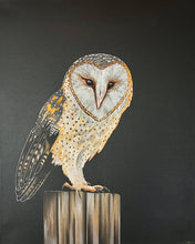 Load image into Gallery viewer, Oscar  ©Jenny McCarthy