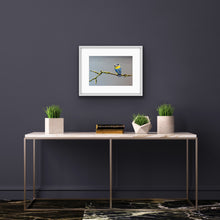 Load image into Gallery viewer, Serene Perch ©Jenny McCarthy