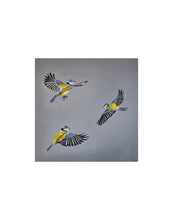 Load image into Gallery viewer, 3 Blue tits ©Jenny McCarthy