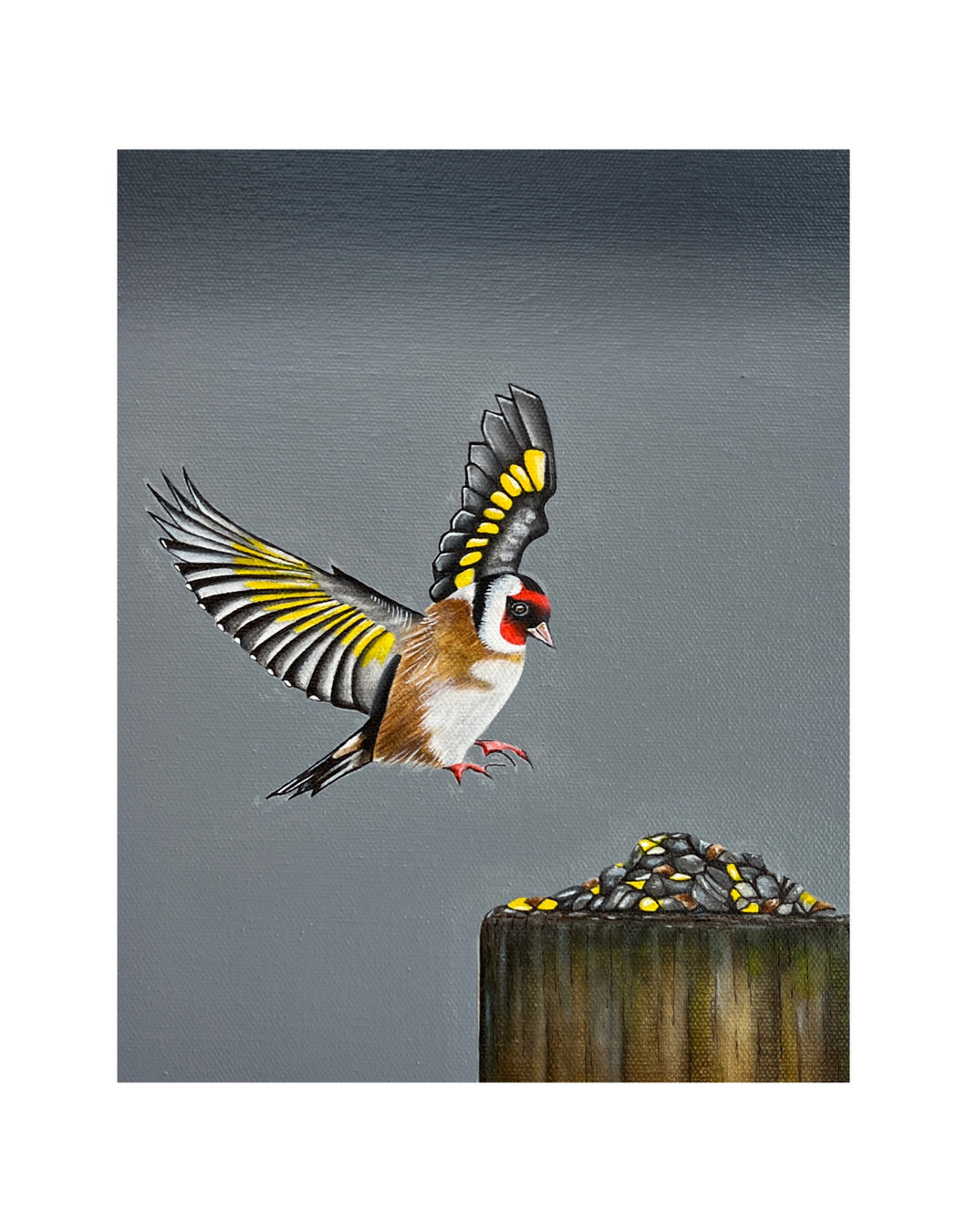 Goldfinch: A feast of seeds