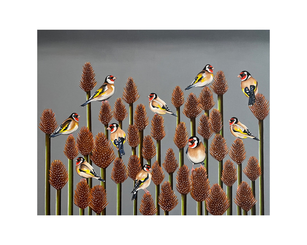 A charm of Goldfinches
