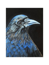 Load image into Gallery viewer, Raven : Echoes of Wisdom ©Jenny McCarthy
