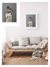 Load image into Gallery viewer, Stonechat
