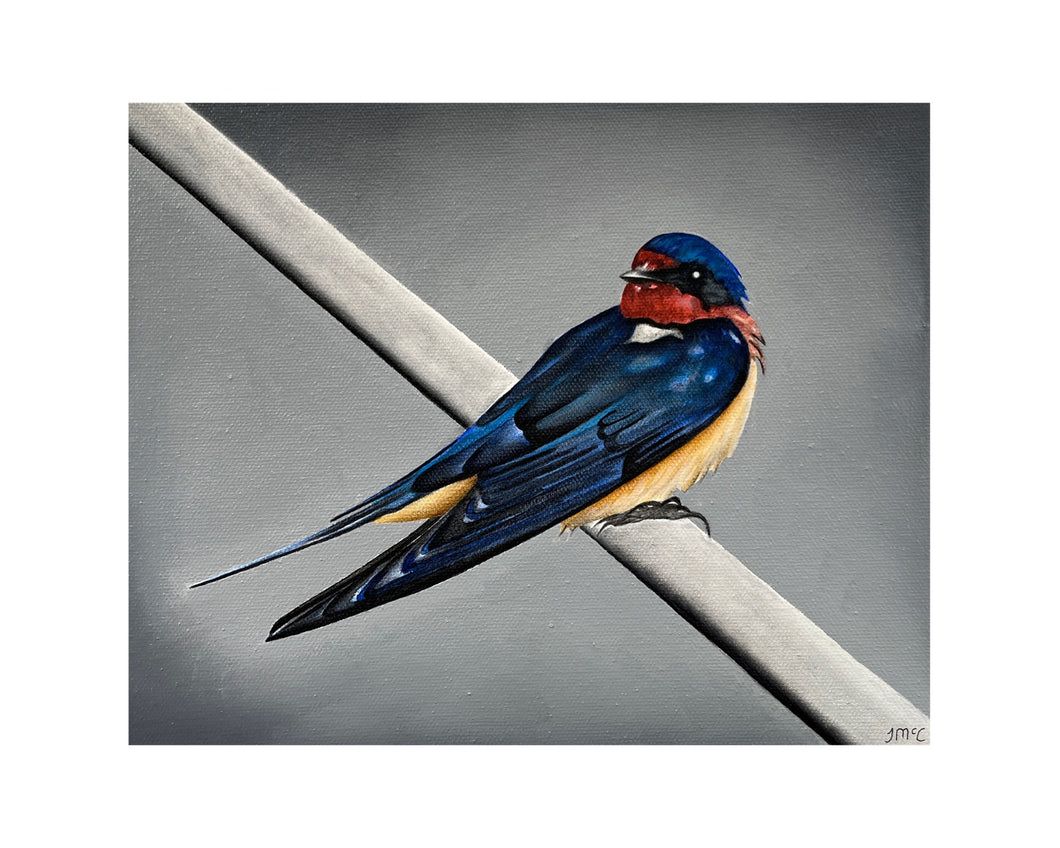 Swallow: At Rest