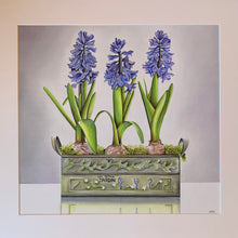 Load image into Gallery viewer, Hyacinths

