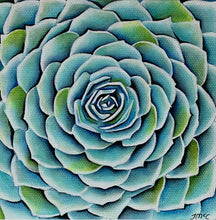 Load image into Gallery viewer, Succulent Study 2
