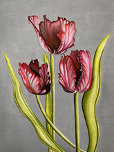 Load image into Gallery viewer, Red Parrot Tulips
