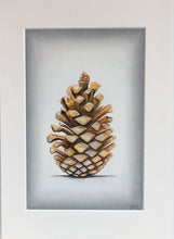 Load image into Gallery viewer, Pine Cone
