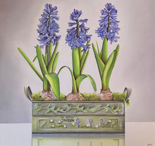 Load image into Gallery viewer, Hyacinths
